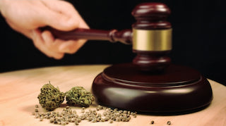 CBD in Deutschland – Legal oder Illegal?