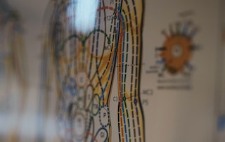 Das Endocannabinoid-System (1)