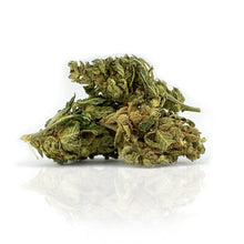 Lade das Bild in den Galerie-Viewer, Jack Herer - MEIN-Wölkchen
